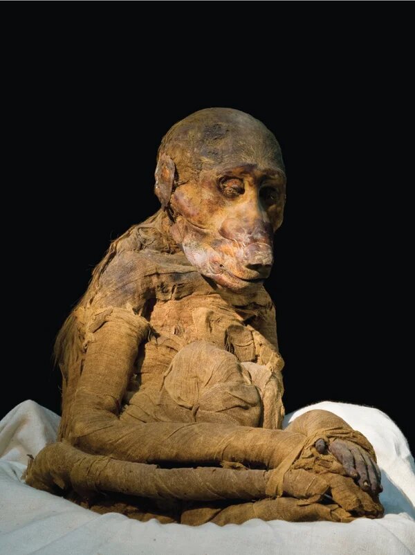 کشف راز عجیب‌ترین مومیایی‌های مصر باستان/ عکس