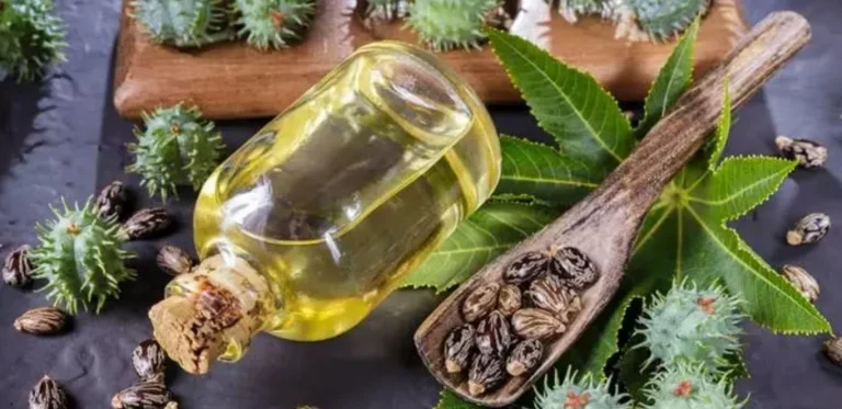 خواص شگفت انگیز روغن کرچک برای مو، مژه و ابرو