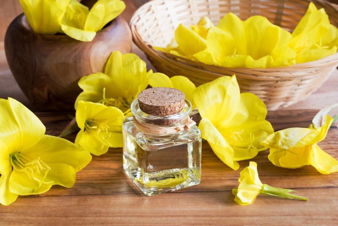 روغن گل مغربی باعث درمان میگرن میشود یا تشدید آن؟