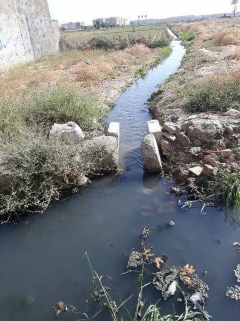 اینجا بیماری می کارند!