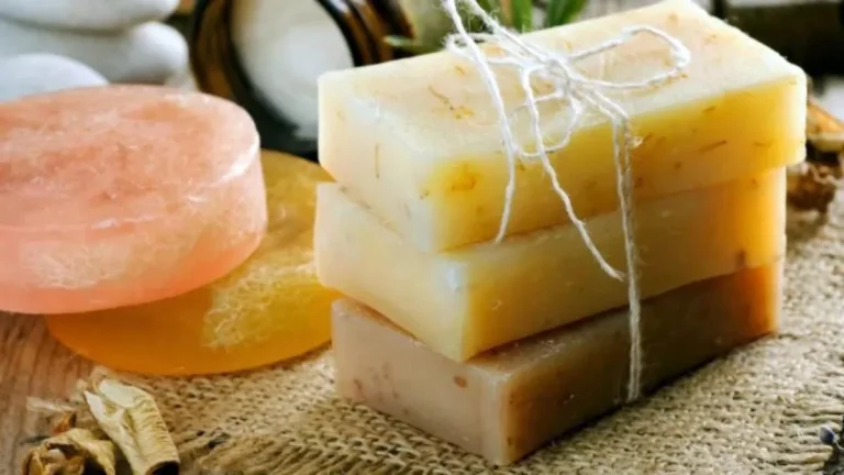 نگهدارنده های طبیعی و سنتی در صنایع آرایشی بهداشتی